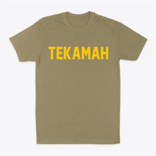Tekamah Nebraska Classic Block Classic Dad T-Shirt