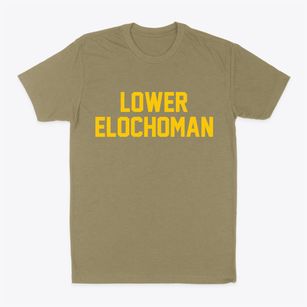 Lower Elochoman Washington Classic Block Classic Dad T-Shirt