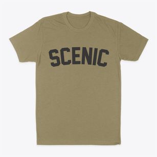 Scenic Arizona Classic Curve Classic Dad T-Shirt
