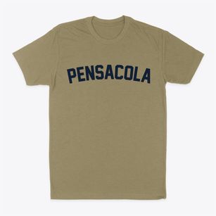 Pensacola Florida Classic Curve Classic Dad T-Shirt