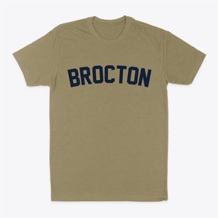 Brocton New York Classic Curve Classic Dad T-Shirt