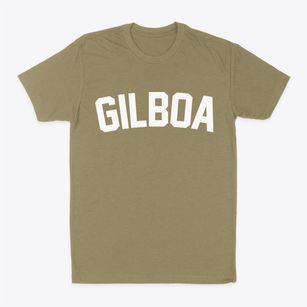 Gilboa Ohio Classic Curve Classic Dad T-Shirt