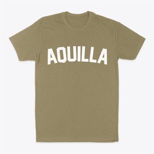 Aquilla Texas Classic Curve Classic Dad T-Shirt
