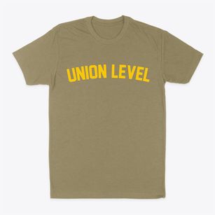 Union Level Virginia Classic Curve Classic Dad T-Shirt