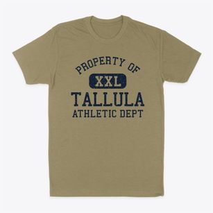 Tallula Illinois Athletic Dept Classic Dad T-Shirt