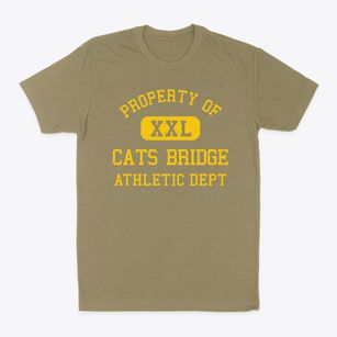 Cats Bridge Virginia Athletic Dept Classic Dad T-Shirt