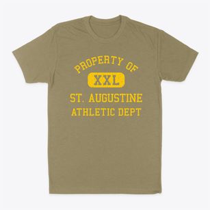 St. Augustine Illinois Athletic Dept Classic Dad T-Shirt