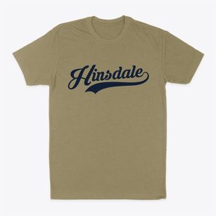 Hinsdale New York Vintage Team Classic Dad T-Shirt