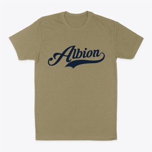 Albion New York Vintage Team Classic Dad T-Shirt