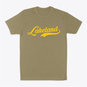 Lakeland New York Vintage Team Classic Dad T-Shirt