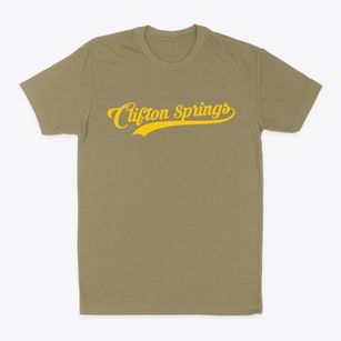 Clifton Springs New York Vintage Team Classic Dad T-Shirt
