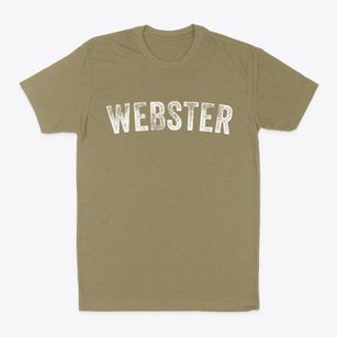 Webster Iowa Timeless Retro Classic Dad T-Shirt