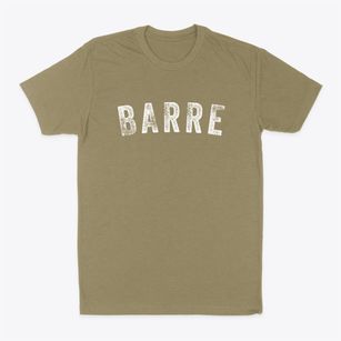 Barre Vermont Timeless Retro Classic Dad T-Shirt