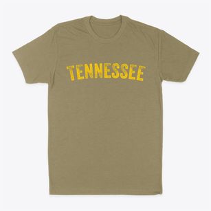 Tennessee Illinois Timeless Retro Classic Dad T-Shirt