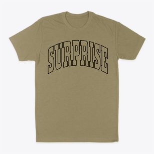 Surprise Arizona Trendy Block Classic Dad T-Shirt