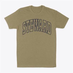 Steward Illinois Trendy Block Classic Dad T-Shirt