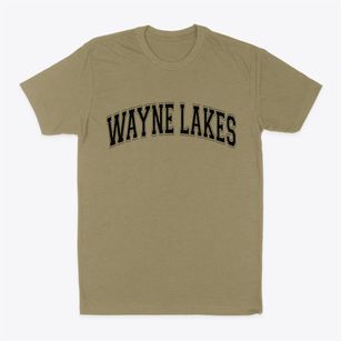 Wayne Lakes Ohio Varsity Classic Dad T-Shirt