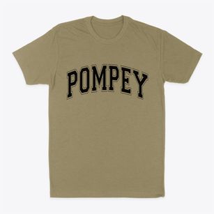 Pompey New York Varsity Classic Dad T-Shirt