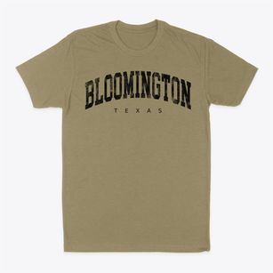 Bloomington Texas Urban Vibe Classic Dad T-Shirt