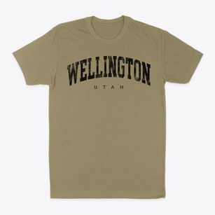 Wellington Utah Urban Vibe Classic Dad T-Shirt