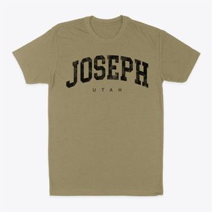 Joseph Utah Urban Vibe Classic Dad T-Shirt
