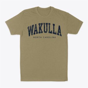 Wakulla North Carolina Urban Vibe Classic Dad T-Shirt