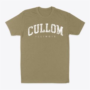 Cullom Illinois Urban Vibe Classic Dad T-Shirt
