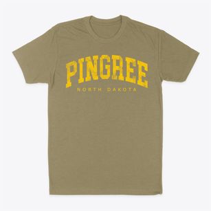 Pingree North Dakota Urban Vibe Classic Dad T-Shirt