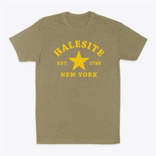 Halesite New York Star Classic Dad T-Shirt