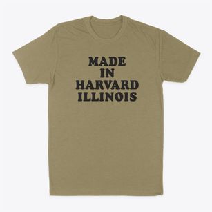 Harvard Illinois Classic 70s Classic Dad T-Shirt