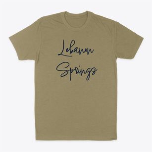 Lebanon Springs New York Freestyle Classic Dad T-Shirt