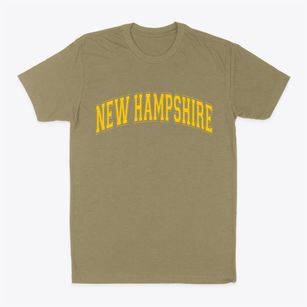  New Hampshire Varsity State Classic Dad T-Shirt