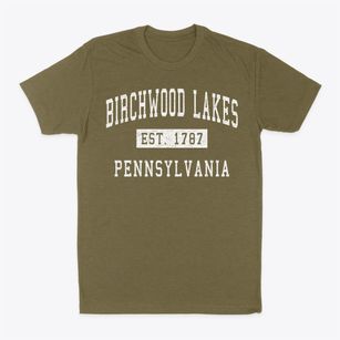 Birchwood Lakes Pennsylvania Classic Established Classic Dad T-Shirt