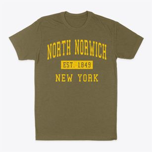 North Norwich New York Classic Established Classic Dad T-Shirt