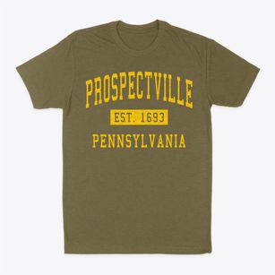 Prospectville Pennsylvania Classic Established Classic Dad T-Shirt
