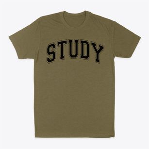 Study Elementary School Varsity Arch Classic Dad T-Shirt