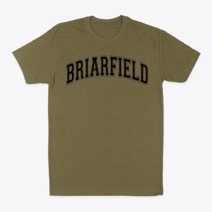 Briarfield Academy Varsity Arch Classic Dad T-Shirt