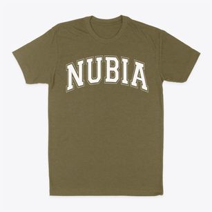 Nubia Leadership Academy Varsity Arch Classic Dad T-Shirt