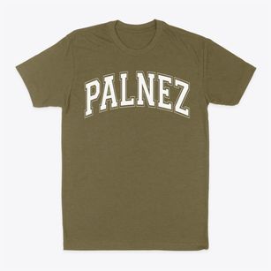 Palnez Academy Varsity Arch Classic Dad T-Shirt