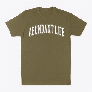 Abundant Life Academy Varsity Arch Classic Dad T-Shirt