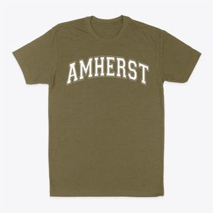 Amherst Elementary School Varsity Arch Classic Dad T-Shirt