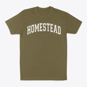 Homestead Elementary School Varsity Arch Classic Dad T-Shirt