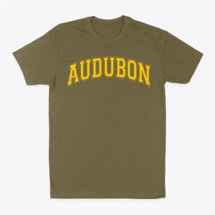 Audubon Middle School Varsity Arch Classic Dad T-Shirt
