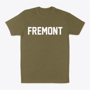 Fremont Michigan Classic Block Classic Dad T-Shirt