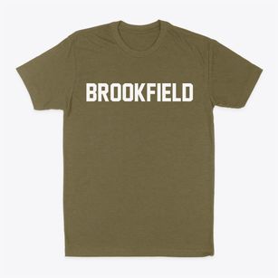Brookfield Illinois Classic Block Classic Dad T-Shirt
