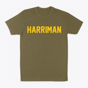 Harriman New York Classic Block Classic Dad T-Shirt