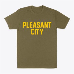 Pleasant City Ohio Classic Block Classic Dad T-Shirt