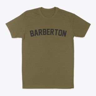 Barberton Ohio Classic Curve Classic Dad T-Shirt
