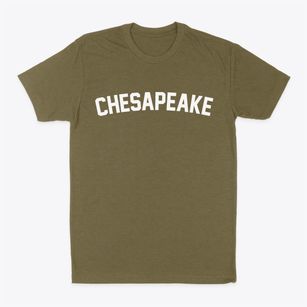 Chesapeake Virginia Classic Curve Classic Dad T-Shirt