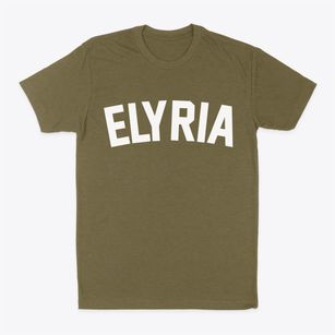 Elyria Ohio Classic Curve Classic Dad T-Shirt